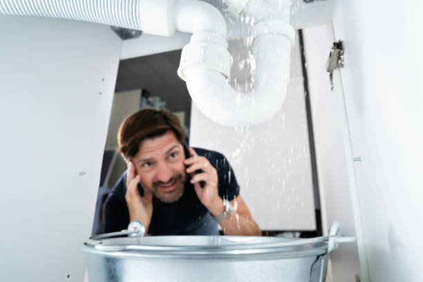 Best Plumbing Services Near Me  in Beechwood, MI