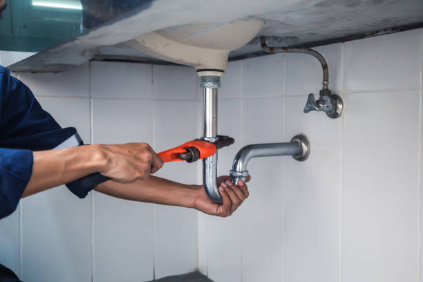 Best Affordable Plumbing Services  in Beechwood, MI